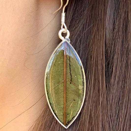 Image of Natural Leaf Resin Ellipse Earrings
