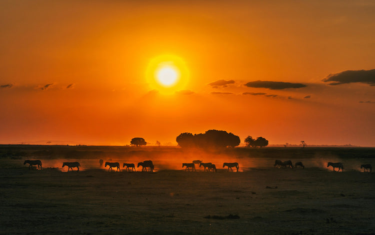 Kenya
